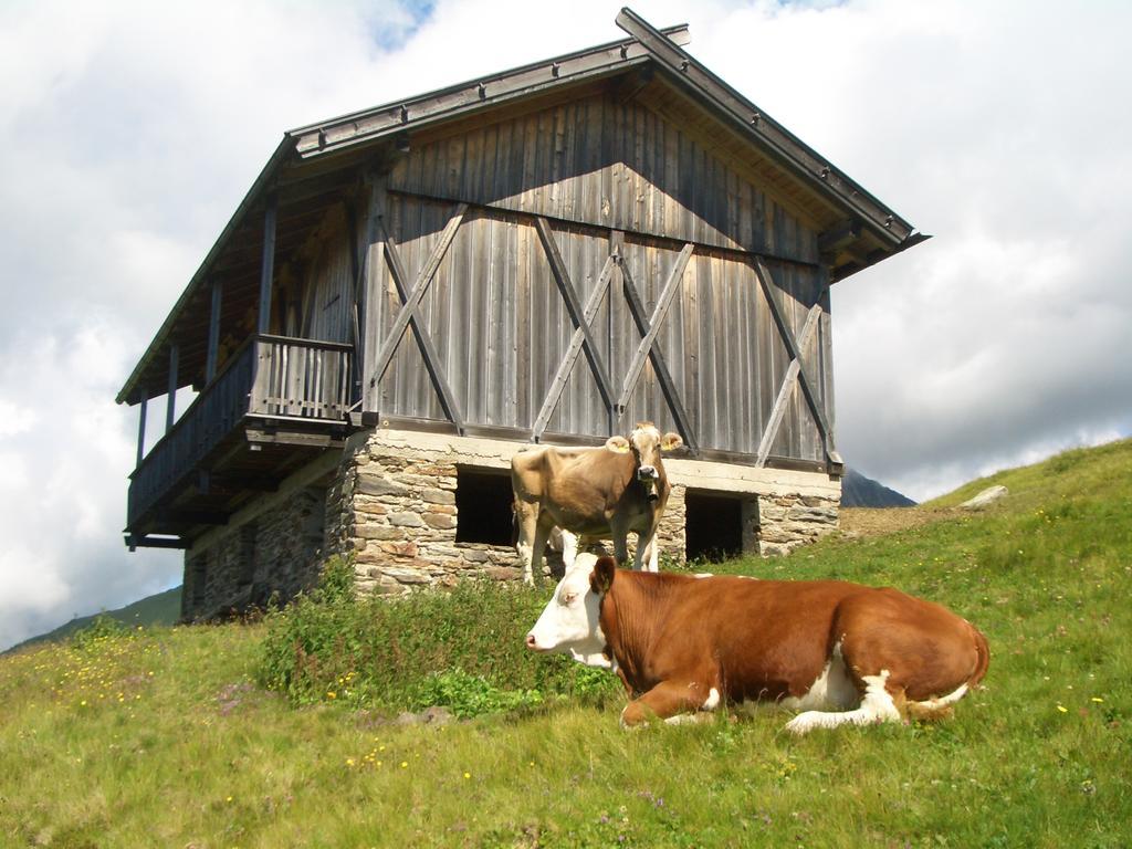 Alpenhotel Schonwald Hotel 3*